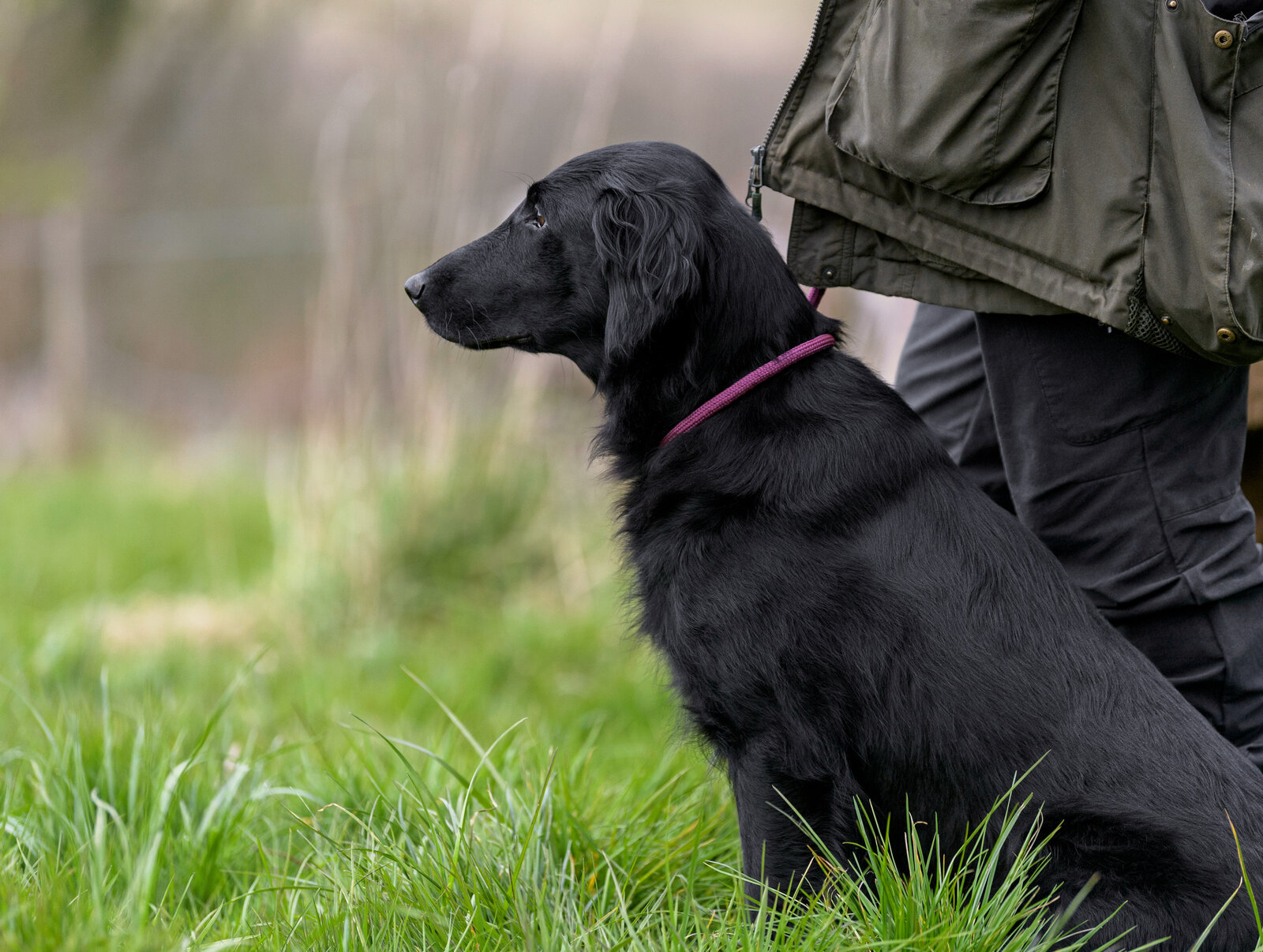 Etti training in a grassy field